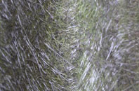 Knowe fibreglass roof work